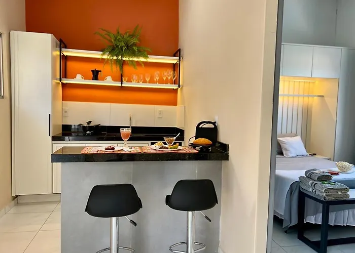 Loft Vichy - 700M Do Parque Das Aguas